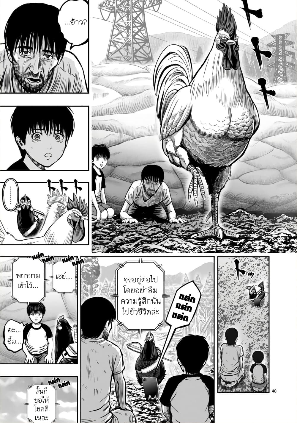 Rooster Fighter 10 (38)